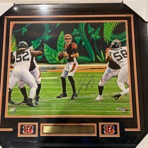 Joe Burrow Autograph Signed Cincinnati Bengals 16x20 Photo Framed Fanatics